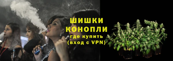 тгк Медногорск