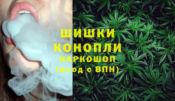 трава Абаза