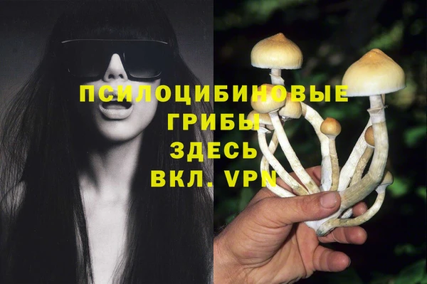 трава Абаза