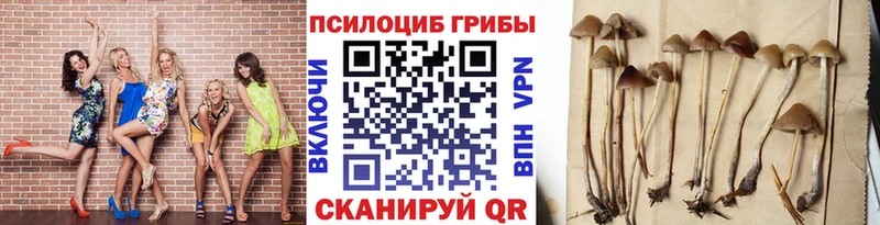 где найти   Нахабино  Галлюциногенные грибы мицелий 