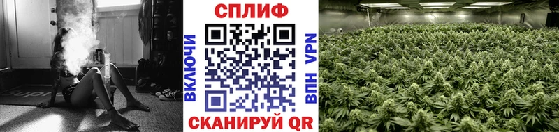 Канабис Ganja Нахабино